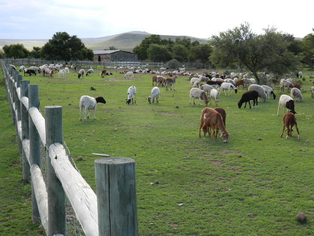 Waterval Farmstay Graaff-Reinet Extérieur photo